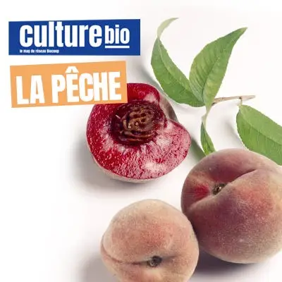 Vignette Actu - La pêche