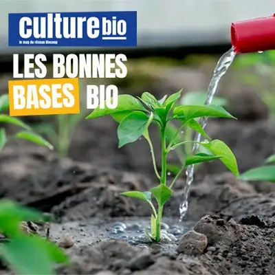 Vignette Actu - Les bonnes bases bio