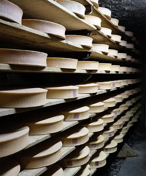 Photo d'illustration - Cave fromages bio
