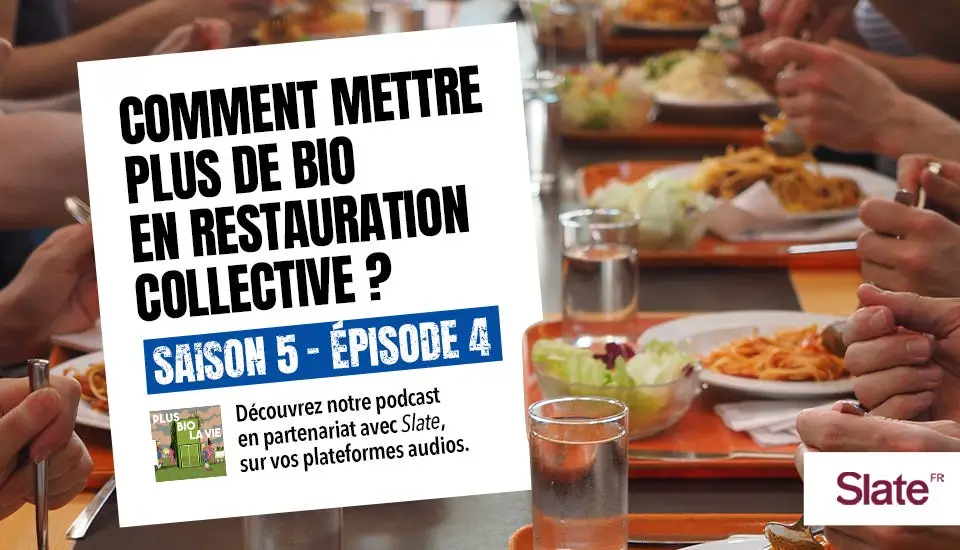 Comment mettre plus de bio en restauration collective ?