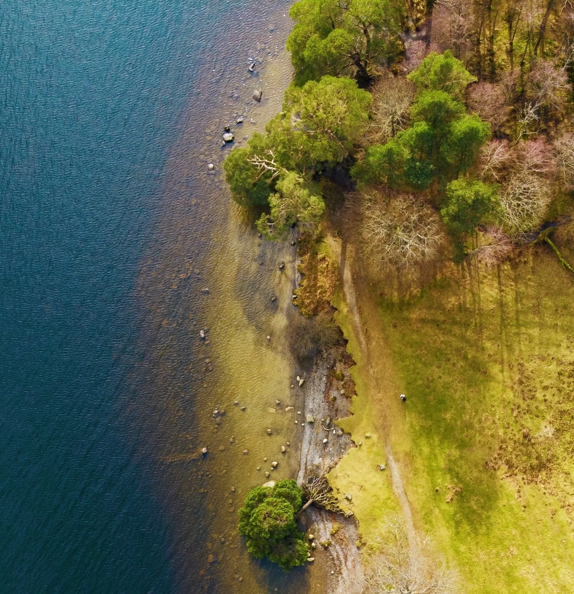 la biodiversité est menacée par le dereglement climatique