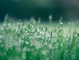 aaron-burden-yzgf-aqt1sq-unsplash.webp