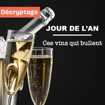 Ces vins qui bullent