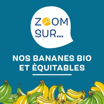 La filière "bananes" bio et équitables chez Biocoop