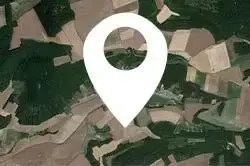 Tous agités du local !