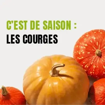 C'est de saison : les courges